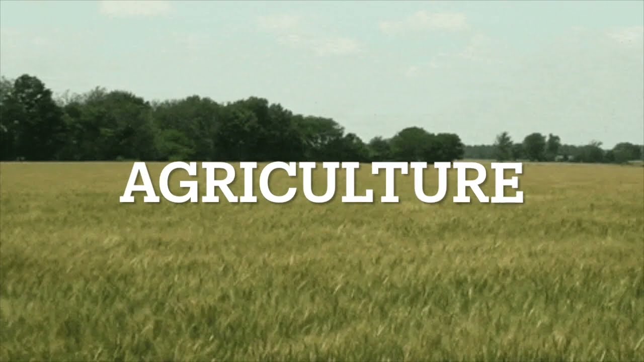 Ag Advocacy Video