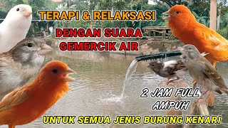 100% AMPUH TERAPI KENARI DENGAN SUARA GEMERCIK AIR  untuk semua jenis burung kenari