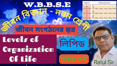 জীবন সংগঠনের স্তর ০০৫।।WBBSE।।Class 9। Life Science Chapter 2।।Biomolecules।।Lipid।।জৈবঅণু।। লিপিড।।