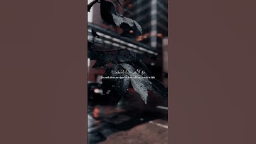 #quran #قران_كريم #قرآن #طمأنينة #راحة_نفسية #ريلز #reels #تلاوة_خاشعة #آيات #سبحان_الله #اكسبلور 🌿