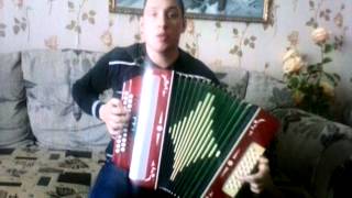 Песни под гармонь  Трофим Снегири     Songs under an accordion Trofim Snegiri