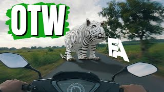 [MotoVlog] The Road to the White Tiger of Balongjeruk || Ep. 3