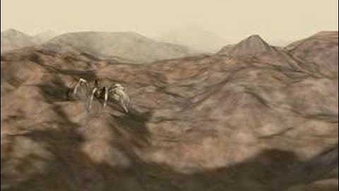 Real-Time Dynamically Animated Spiders