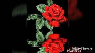 Abdi ibrahim Naas fakkatee