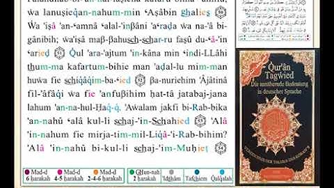 ختمة من مصحف التجويد باللغة الألمانية الصفحة رقم 482
