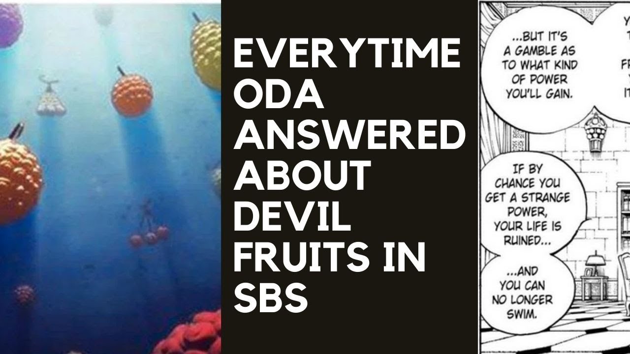 SBS One Piece: If Zoro Had Devil Fruit, This Is What He Chose!