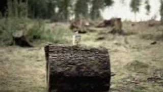 Apollo optik commercial