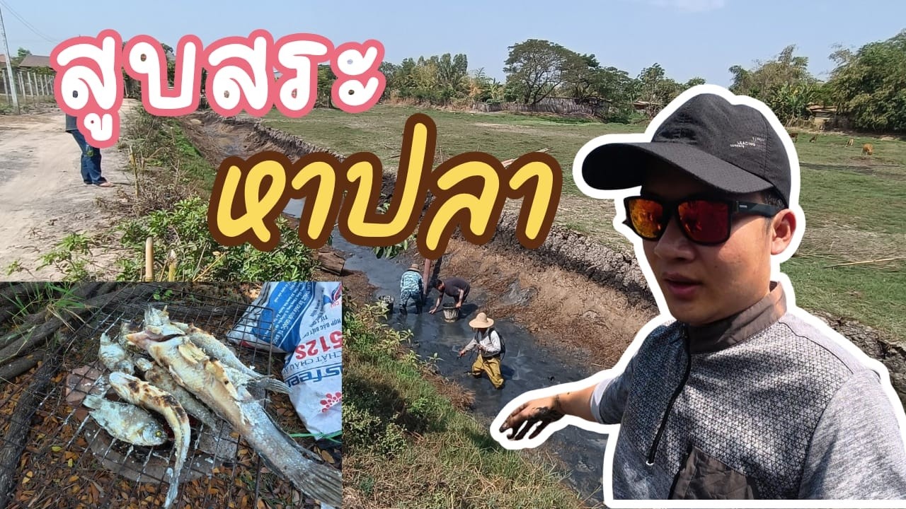 TTV Channel | สูบสระ หาปลา ครั้งแรกในรอบปี 2026