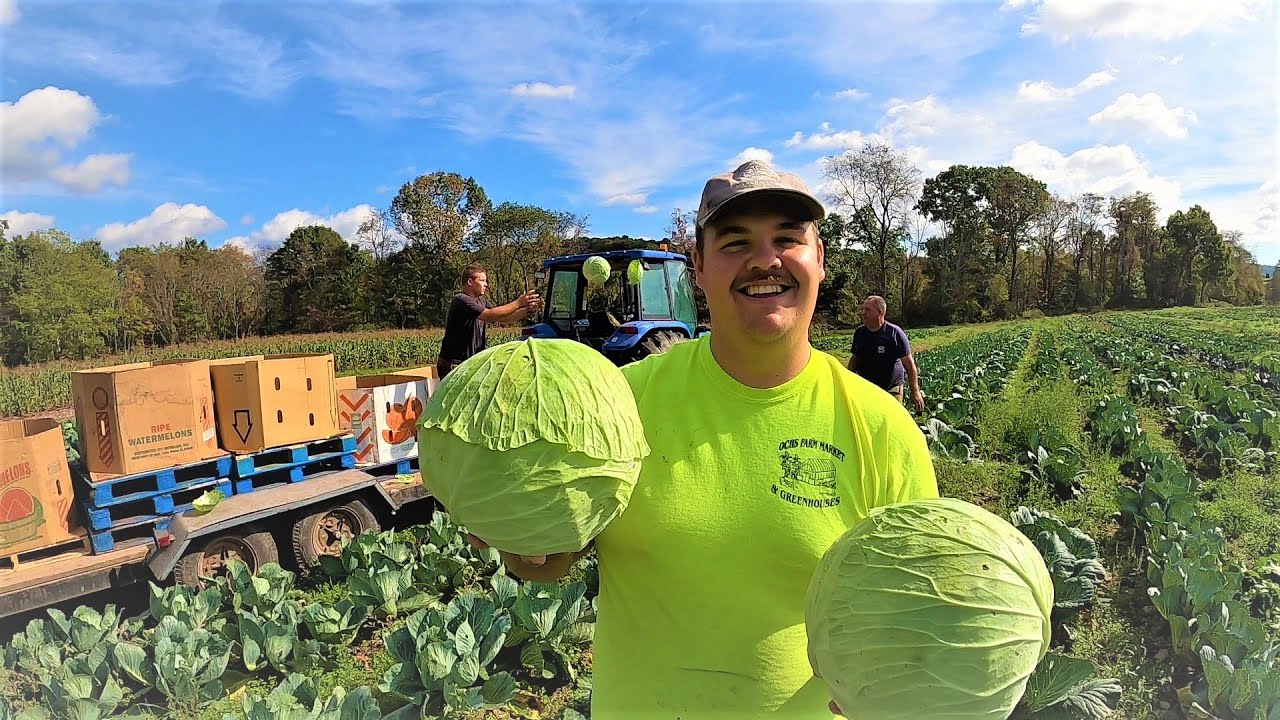We had a great day on the vegetable farm. - YouTube