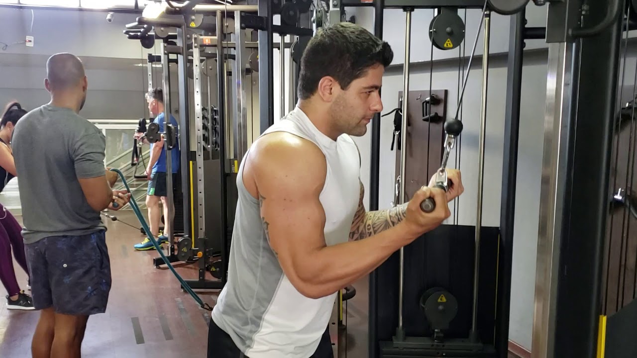 Tríceps na Polia Alta com Pegada Invertida YouTube