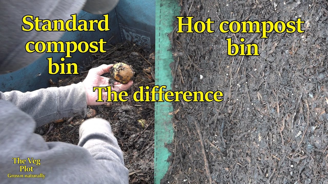 Normal Compost normal compost vs Hot bin compost - YouTube