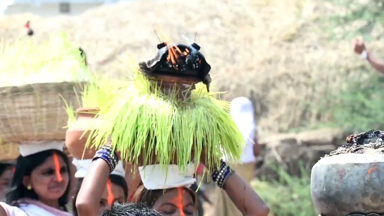 जवारा विसर्जन दनिया नवागांव