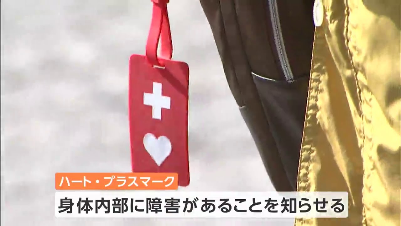 「ハート・プラスマークのことを知ってほしい」難病患者と家族らがウォーキング【岡山・北区】 - YouTube