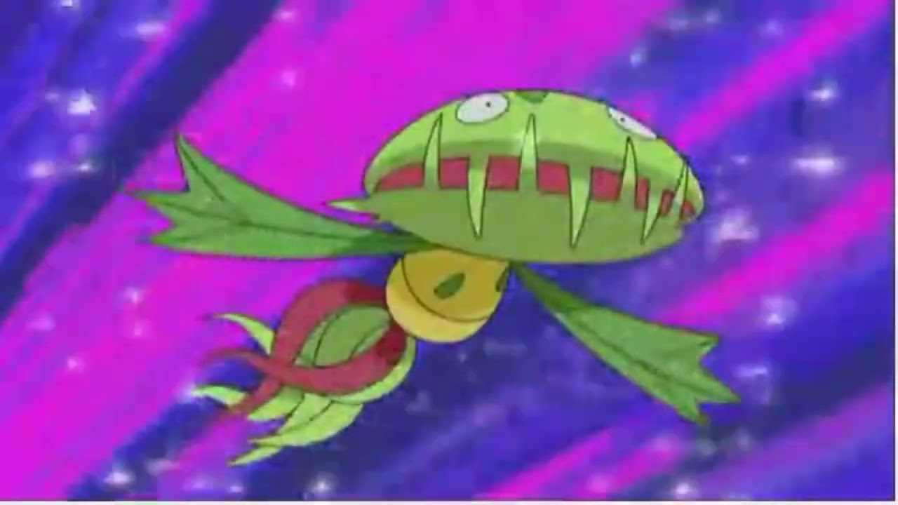 Carnivine & James Compilation