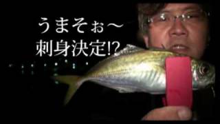 ヒロセマン×三倉治が淡路島で、幻!?のモンスターアジを追う！　Part.2