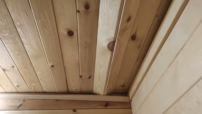 жыныстық камера әйел