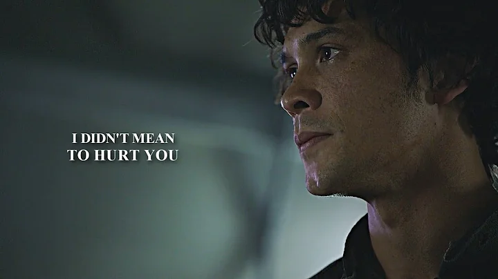 Bellamy & Elena | Didn't mean to hurt you [crossov...