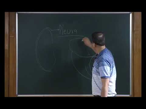 Bio class 11 unit 16 chapter 04  human physiology-breathing and exchange of gases   Lecture -4/4