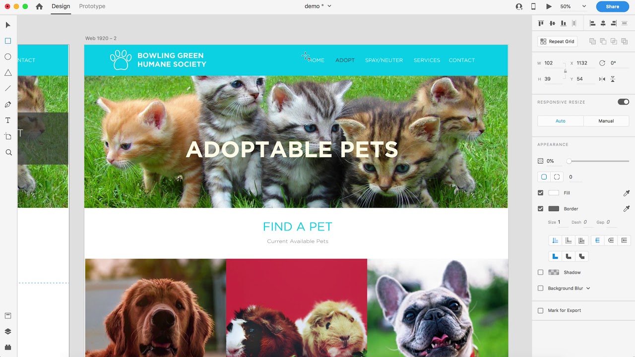 Adding Interaction in Adobe XD