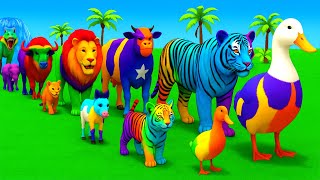 صورة حية