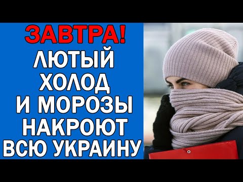 ПОГОДА НА 14 НОЯБРЯ : ПОГОДА НА ЗАВТРА