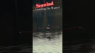 Tower Hobbies Seawind Water Landing