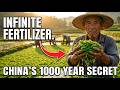 This Aquatic Fern Replaces Nitrogen Fertilizer Completely. China Used It for 1,000 Years.