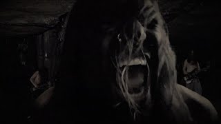 Furthur By Lacertilia