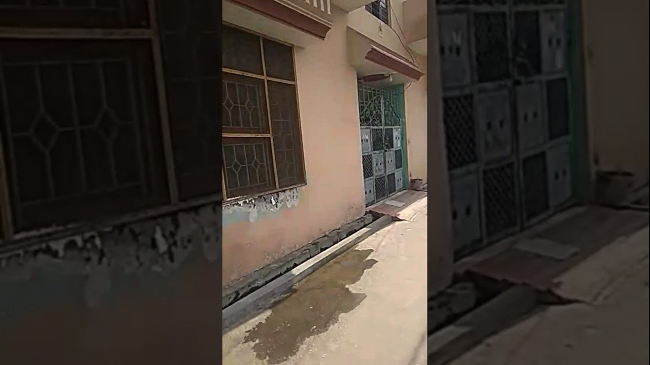 Light Biscuit and terracotta samosam color combination