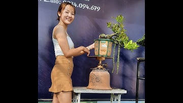 Bonsai Ứng | Giao lưu cùng ace cây lộc vừng. Ace xin liên hệ 0934 094 679 Ứng. Xin cảm ơn !!!