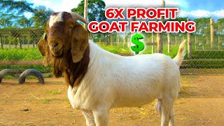 HOW TO MAKE UP TO 6 TIMES YOUR INVESTMENT AS A GOAT FARMER IN AFRICA