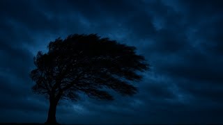 Night Wind Echo || Wind Sound And Ambient Music For Relaxation And Focus
