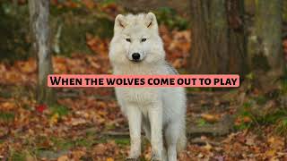 Sam Tinnesz - Wolves (lyrics) Resimi