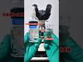 Kuman vs hand sanitizer, apakah benar² ampuh basmi kuman? #shorts #foryou #microscope #sanitizer #yt