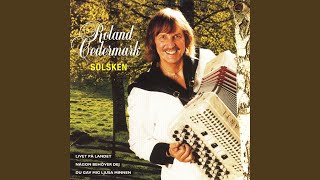 Solsken