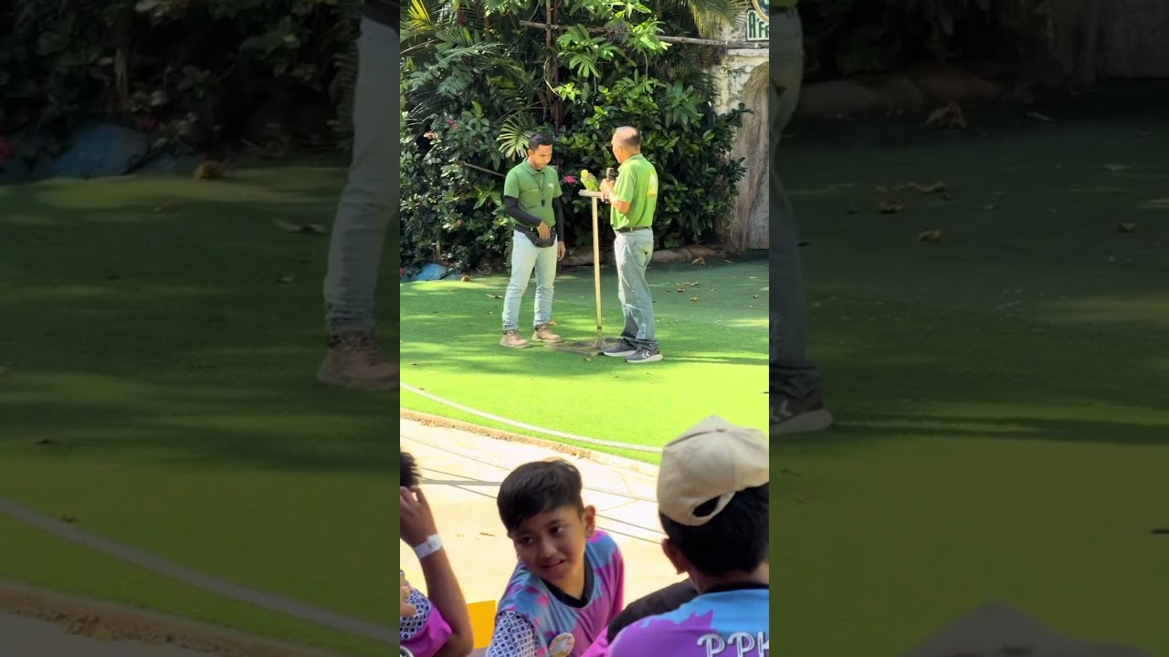 Bird Show at Afamosa Safari Wonderland Melaka 