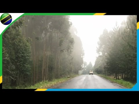 Nijipanda Rungwe Road In Mbeya Tanzania 