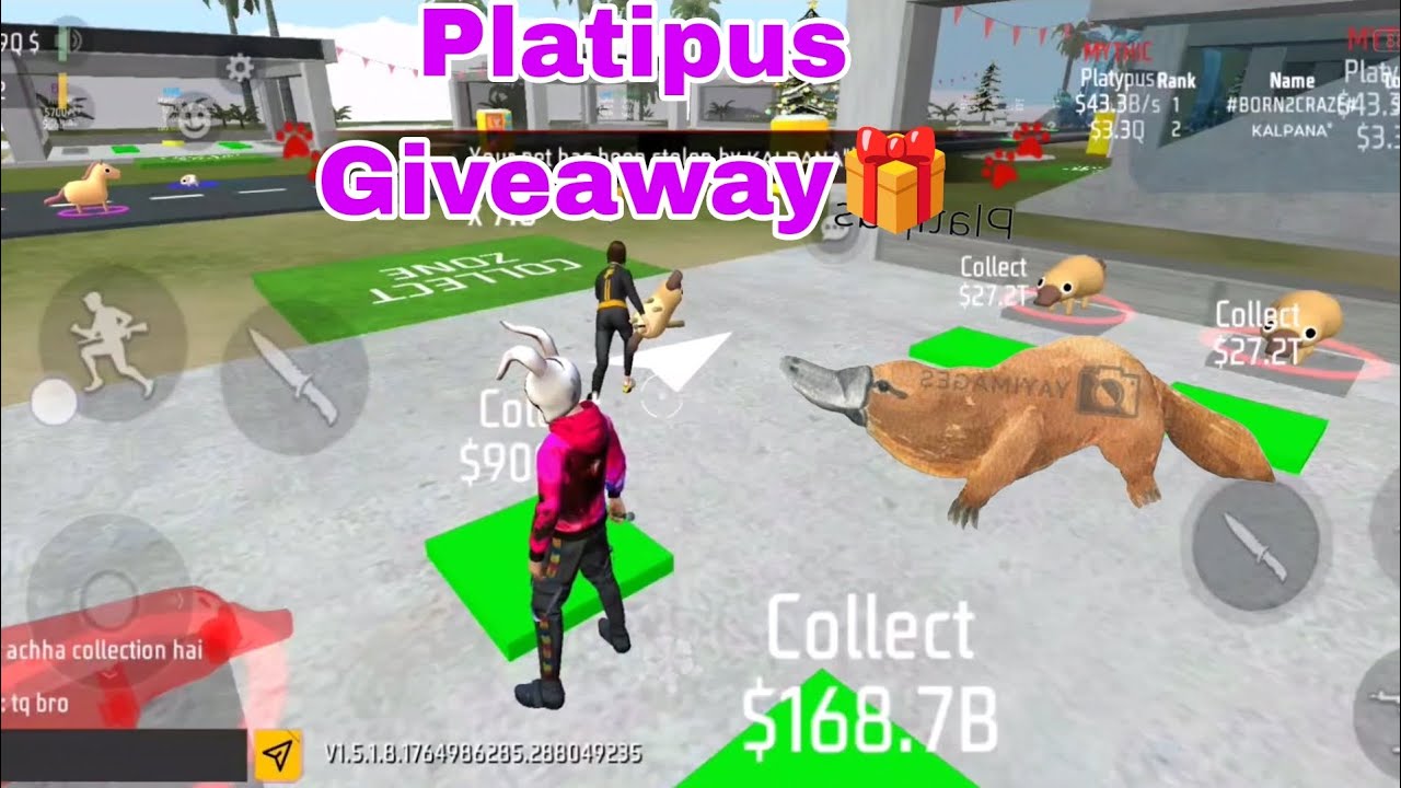 Platipus Giveaway to Subscriber🎉🎁