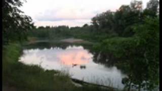 YouTube video LU0iW8wTMdo