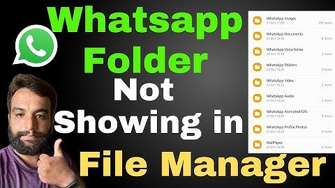 Whatsapp Folder Not Showing In File Manager,How To Find Whatsapp Folder In File Manager