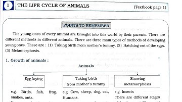 1. THE LIFE CYCLE OF ANIMALS environmental studies science workbook answer | 4 EVS workbook answers