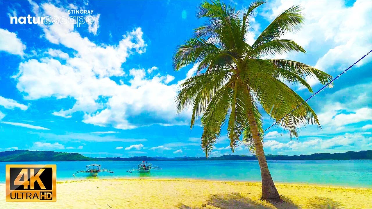 Beautiful Palawan Philippines Beach Ambient Relaxing Nature Sounds in Tropical Paradise
