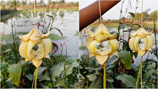 How to make a hanging flower (coconut tree leaf)