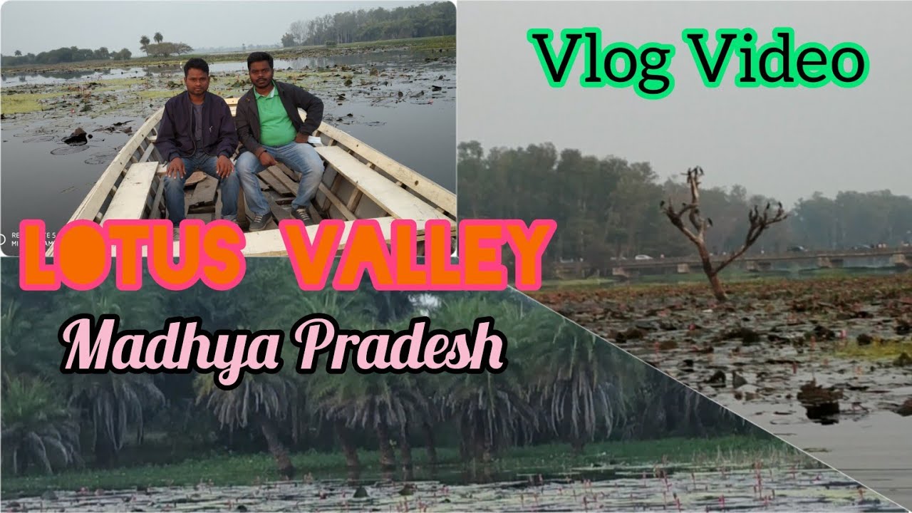 Lotus Valley ᱾ Indore ᱾ Madhya Pradesh ᱾ India ᱾ Global Cycle ᱾  vlog -69