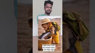 বানরের অসাধারণ হিস্টোরি দেখলে ভুলতে পারবেনা #now #vidoeshort #banor #YouTube