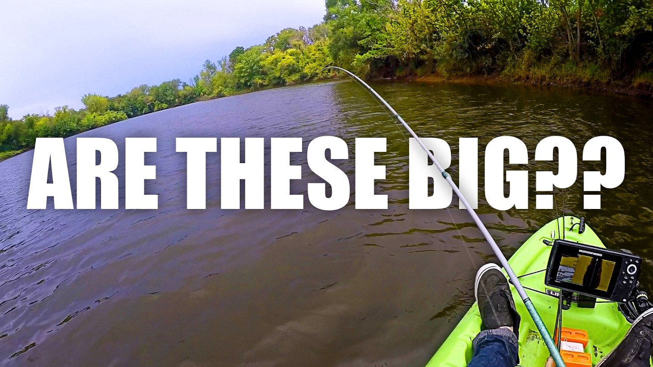 Big Iowa Bass Are Showing Up!!! (Iowa Bass Fishing)