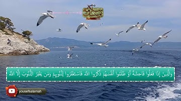 تلاوة نقية بصوت القارئ يوسف سلامة|سورة آل عمران