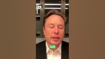 Elon Musk Plans to Create Rival Chatbot to OpenAI