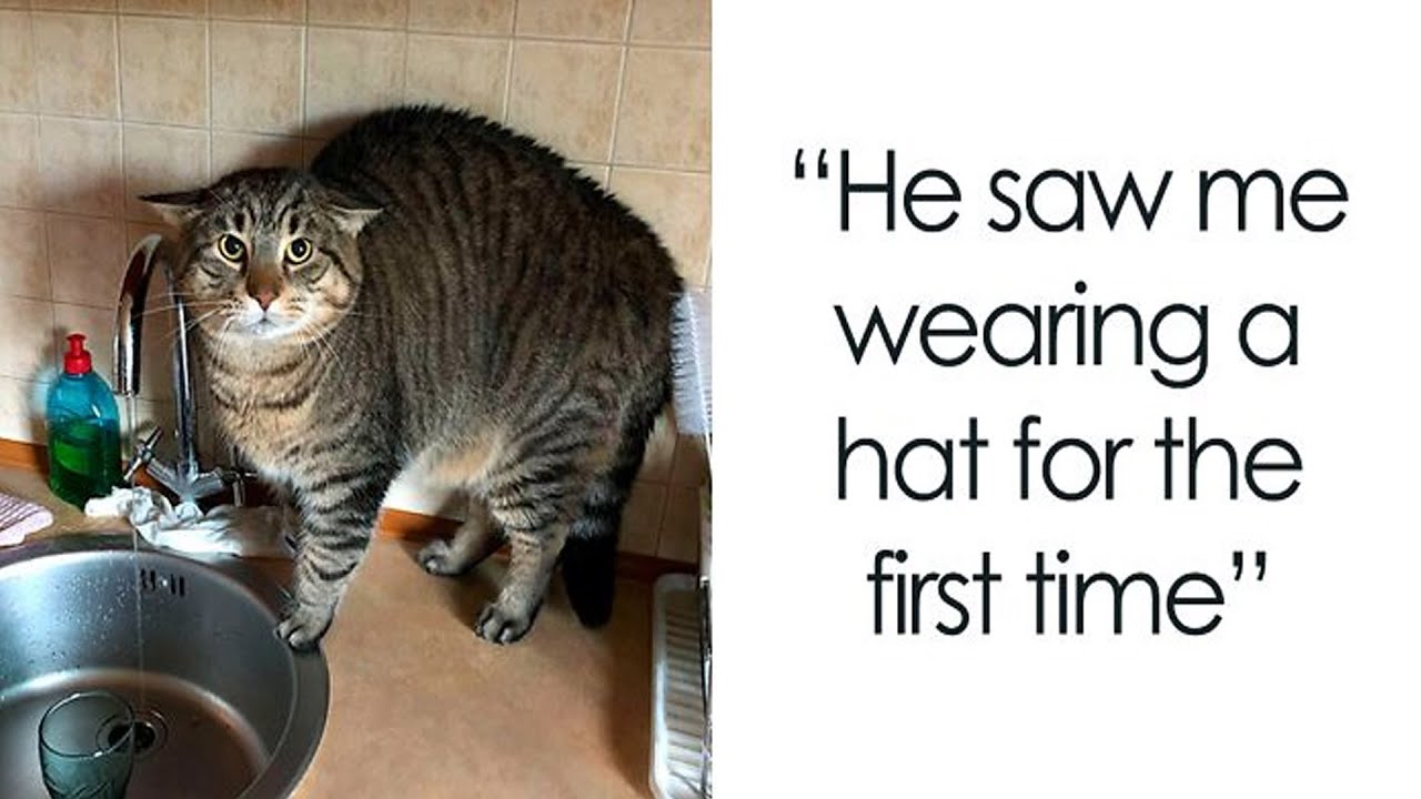 The Funniest And Cutest Pets’ Reactions To Trying Something They’d Never Tried Before