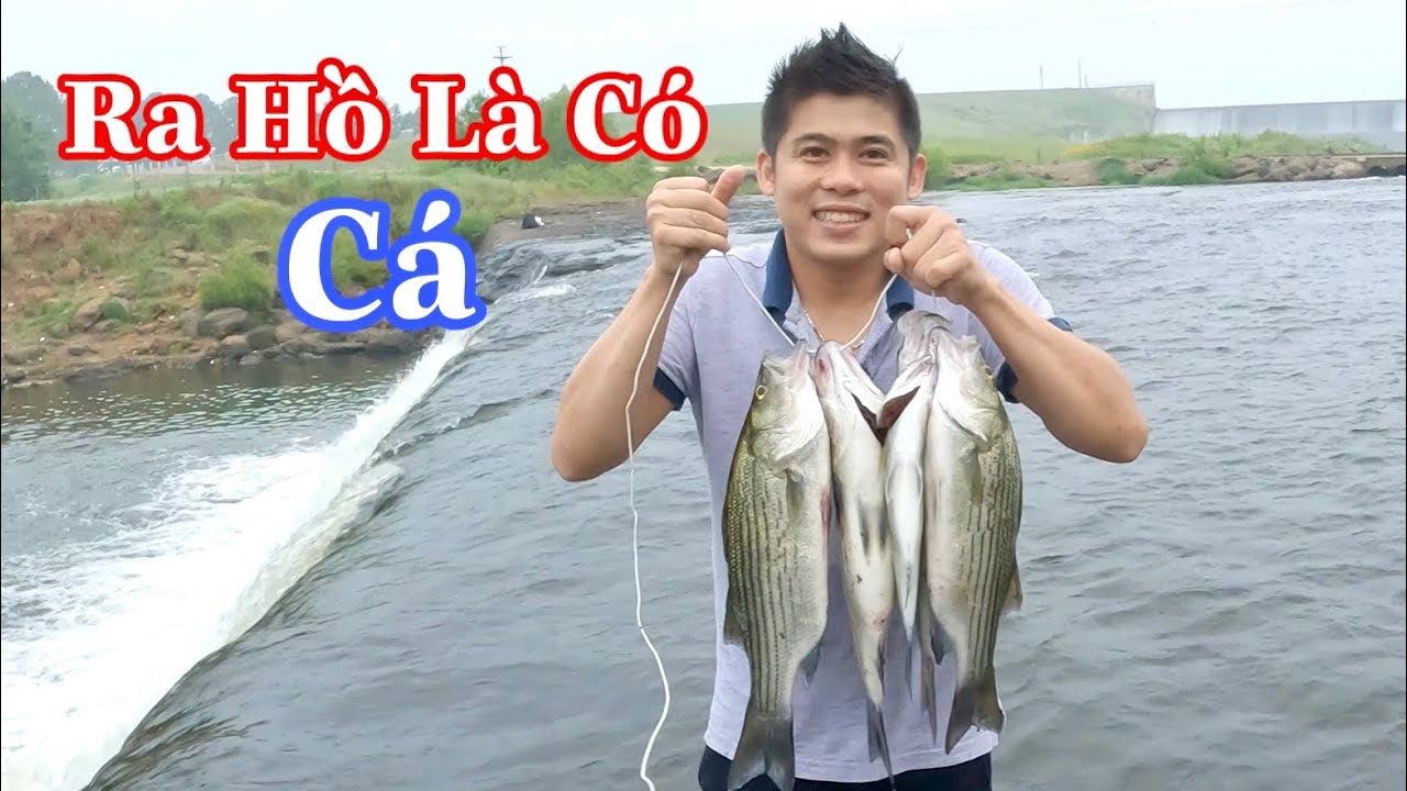 Ở Mỹ Cứ Rãnh Cầm Cần Câu Đi Là Có Cá Đem Về